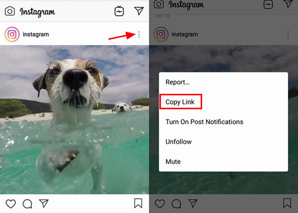Copy Instagram Video Link On Android