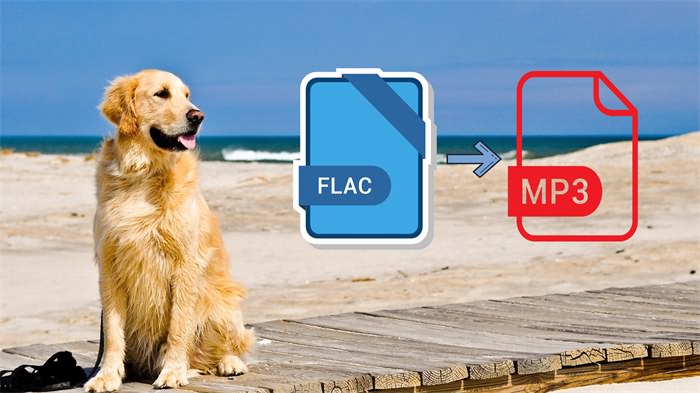 Top 4 Ways to Free Convert FLAC to MP3 on Windows/Mac