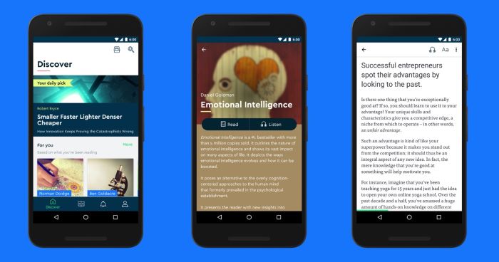 Blinkist App