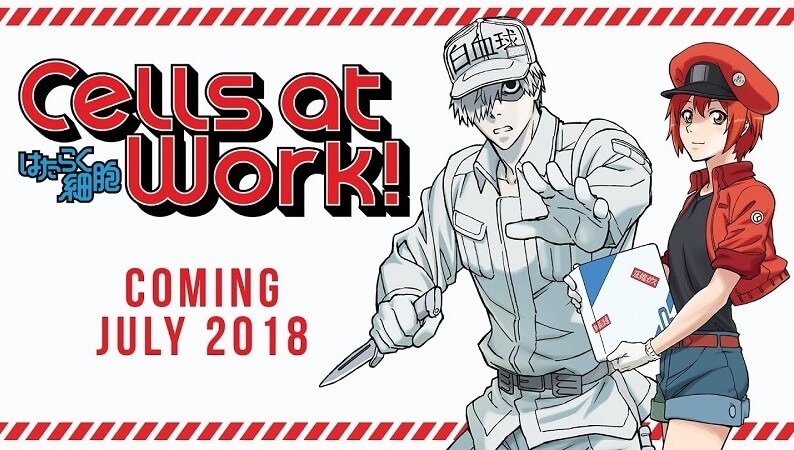 Cells at Work!