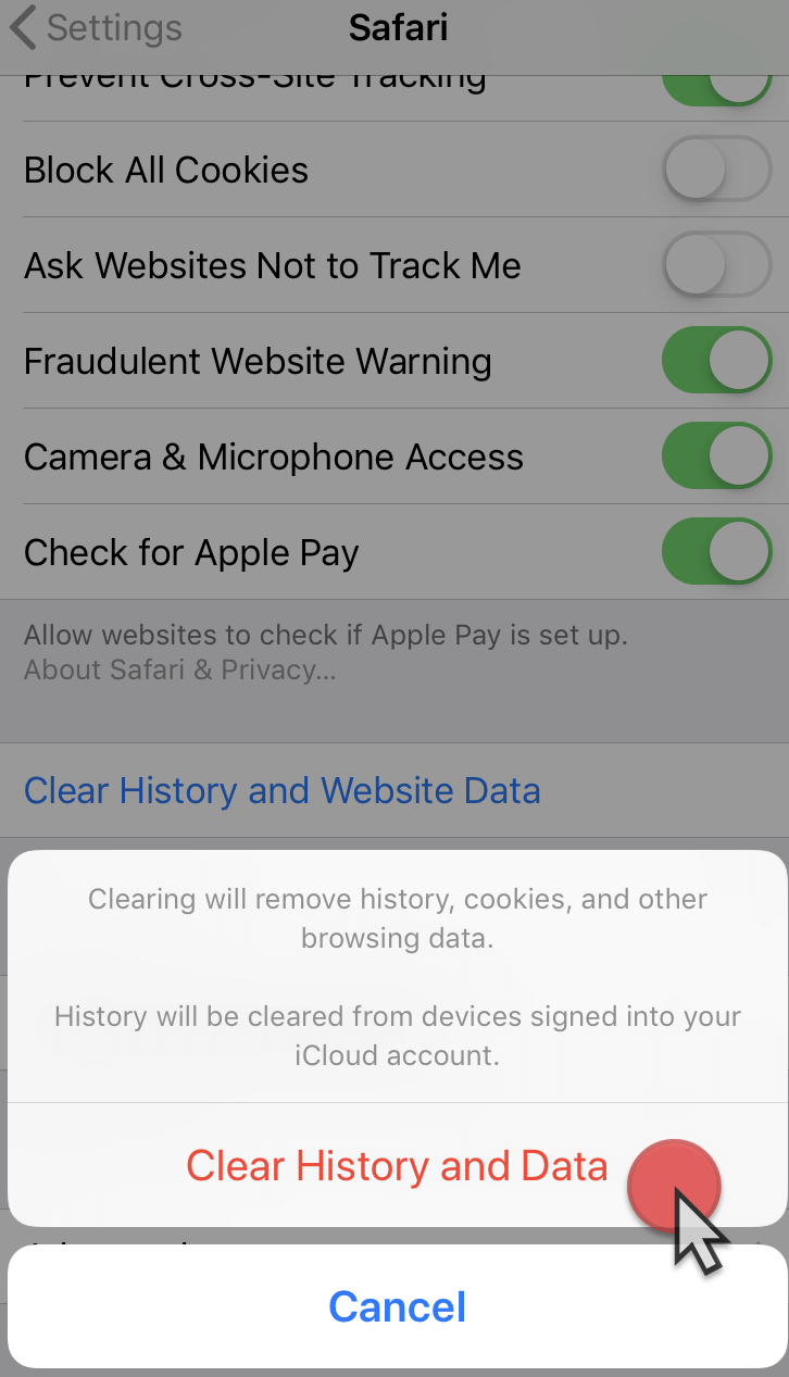 Clear iPhone Safari Cache