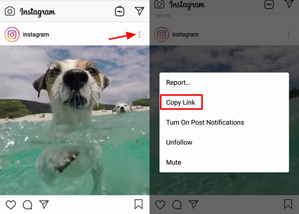 Copy Instagram Video URL