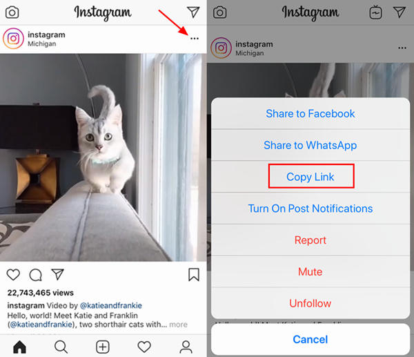 Copy Instagram Video Link On iPhone
