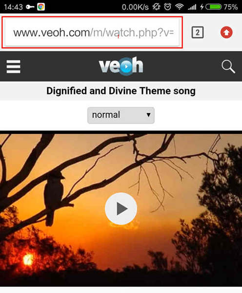 Copy Veoh Video Link On Android