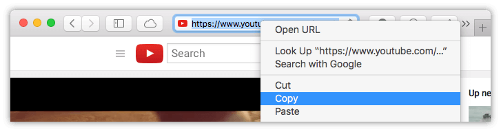 Open Your Desired Relaxing Music on YouTube and Copy Its URL