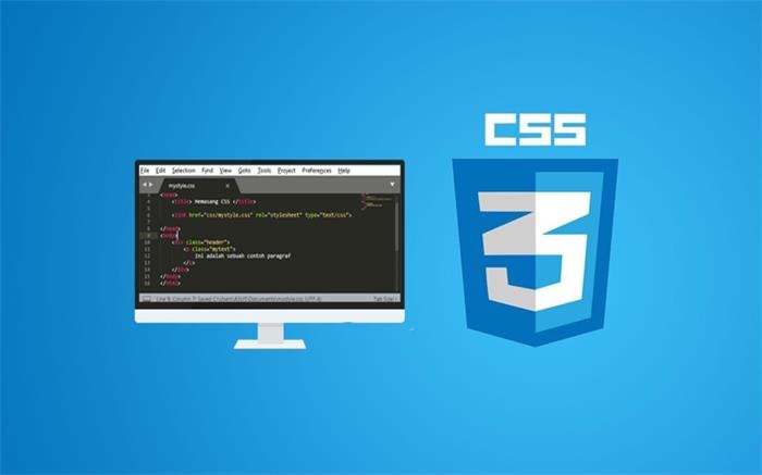 CSS