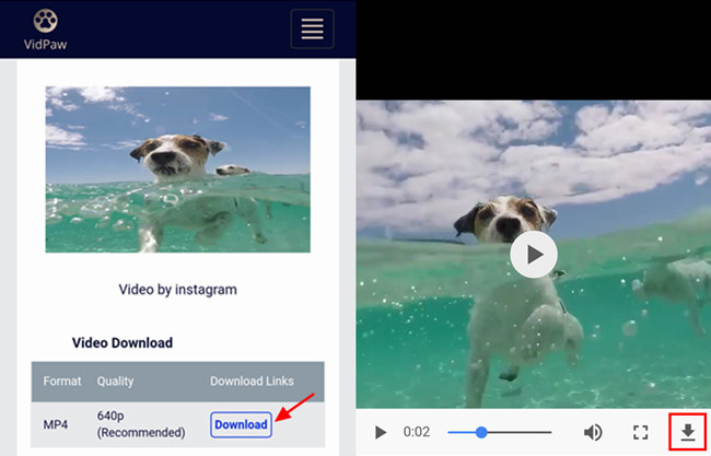 Download Instagram Video On Vidpaw Android