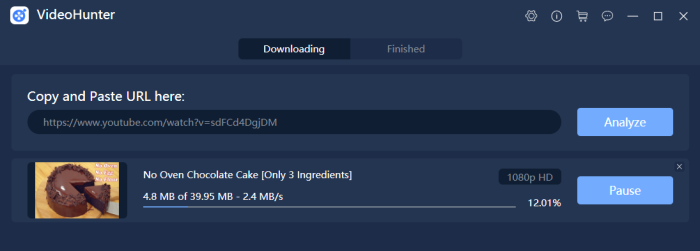 Download Video with VideoHunter