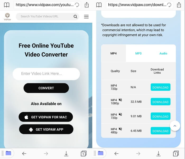 Download YouTube Video on iPhone