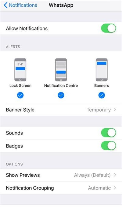 Enable WhatsApp Notifications iPhone