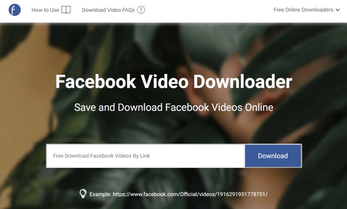 from fb to mp4 from fb to mp4