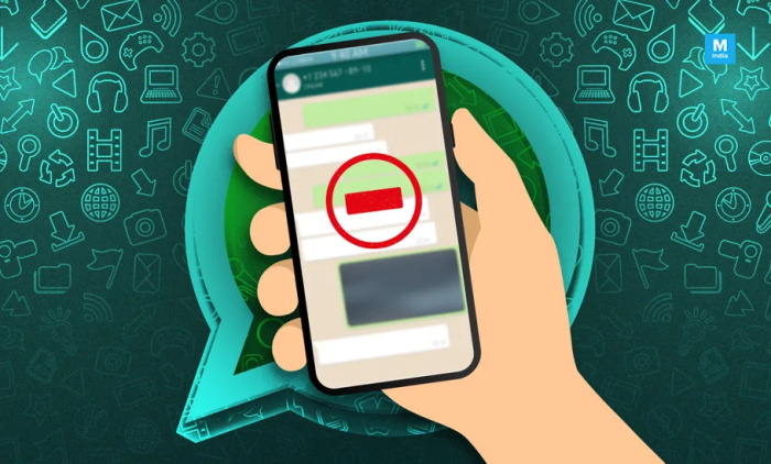 Fix WhatsApp Connection Problem