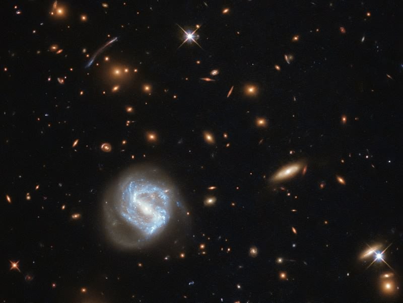 Galaxy Cluster NASA