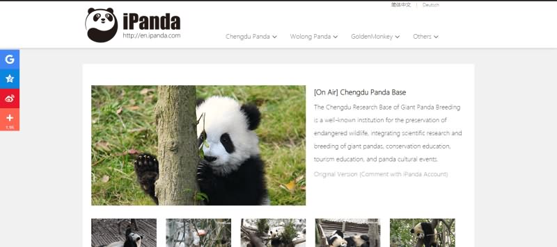 iPanda Website