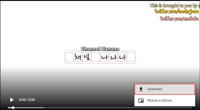 Download Online Video