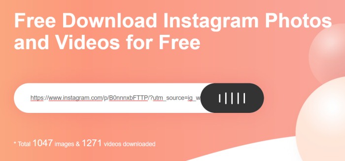 Paste Instagram Photo URL to GramKeep