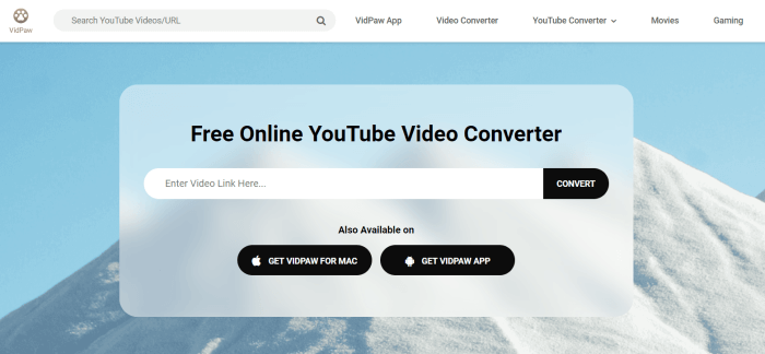 Paste URL to VidPaw YouTube Converter
