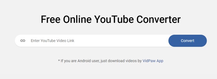 Paste the Video Link to YouTube Converter