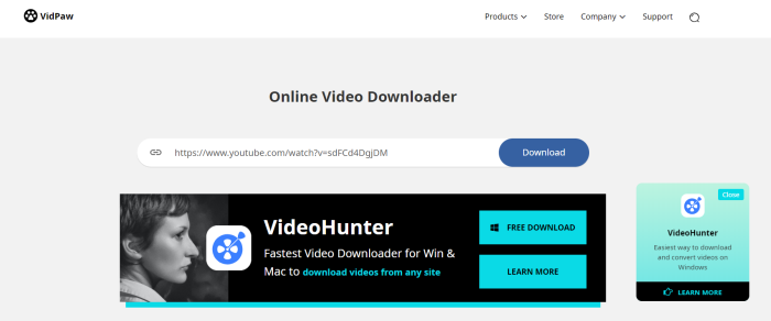 Paste URL to VidPaw Downloader