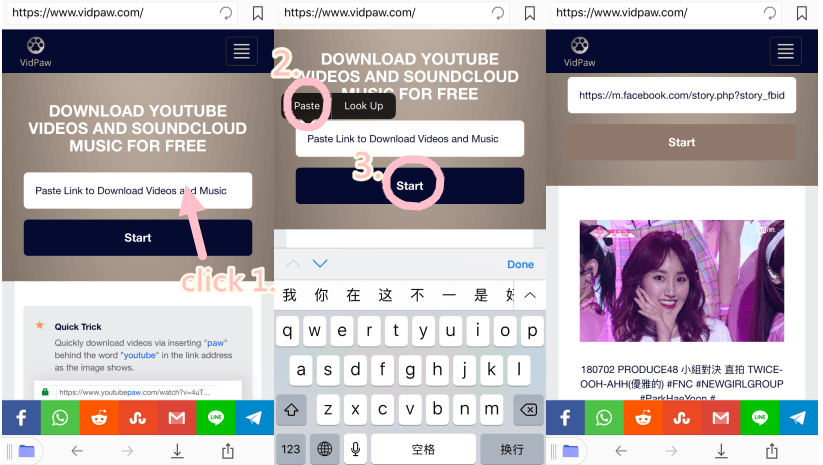 Paste the Link of Facebook video in VidPaw