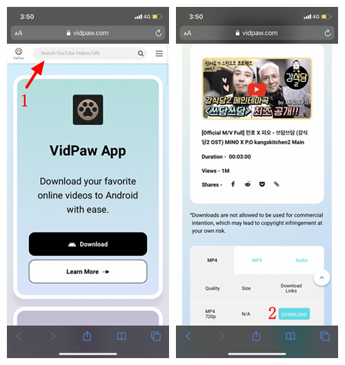 Paste Video Link to VidPaw Safari