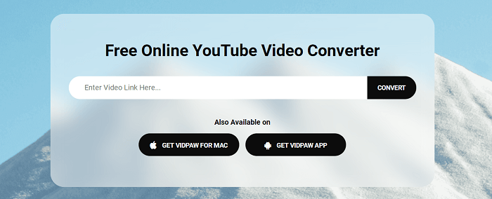 Paste the Video Link to YouTube Converter