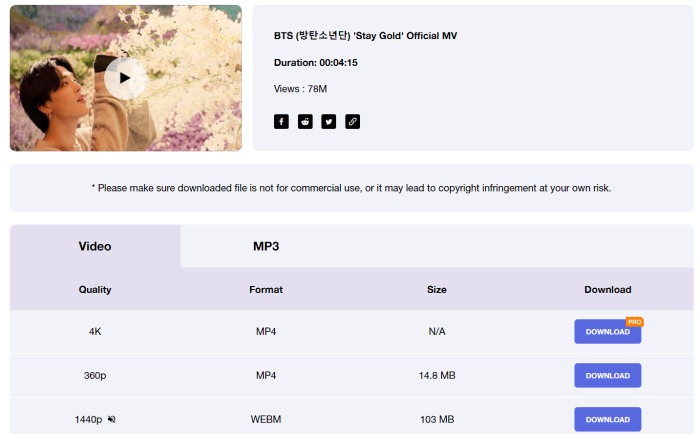 Select Format to Download BTS Song