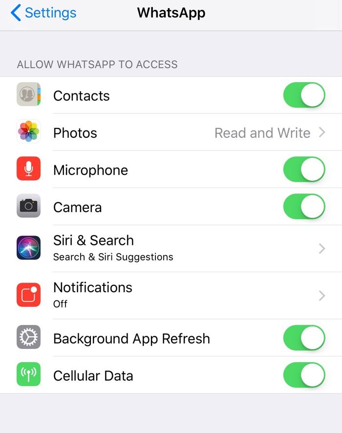The Interface of WhatsApp