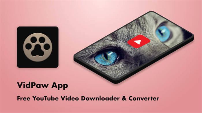 VidPaw App 