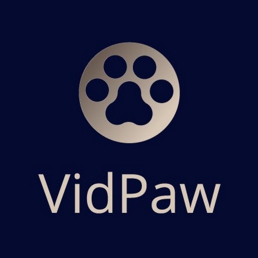 vidpaw not downloading