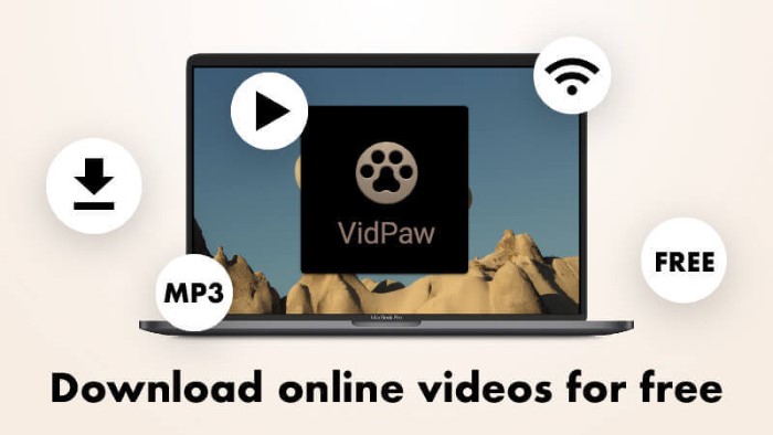 VidPaw