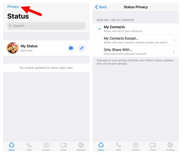 WhatsApp Status Privacy