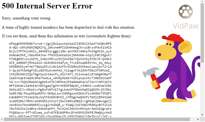 YouTube 500 Internal Server Error VidPaw