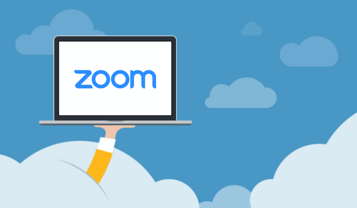 Zoom Online Meeting