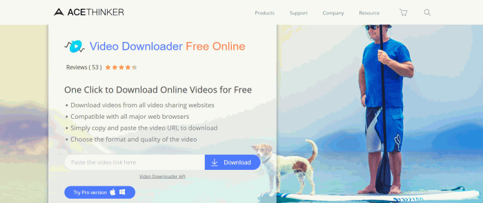 AceThinker Video Downloader Online