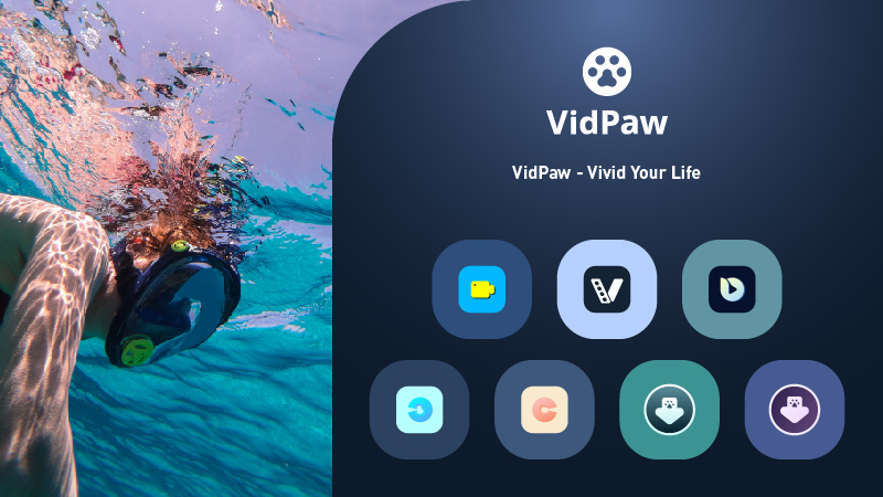 VidPaw Tools