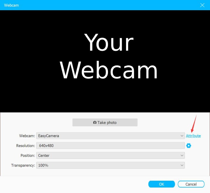 Change Webcam Settings