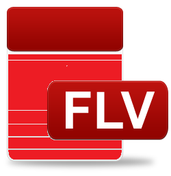 FLV Format