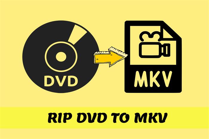Rip DVD to MKV