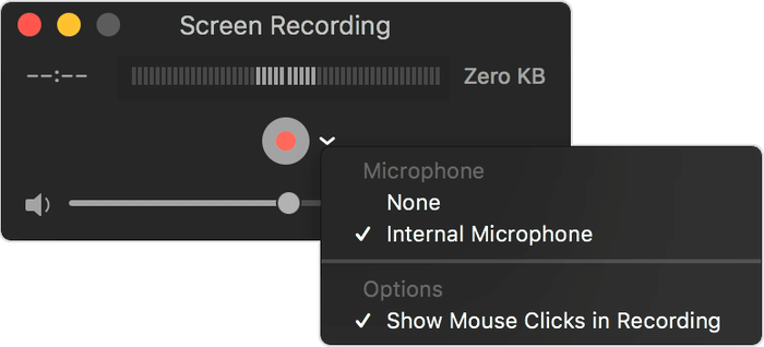 Screen Recording Window