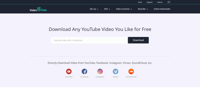 VideoSolo Online Downloader