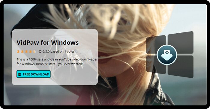VidPaw for Windows