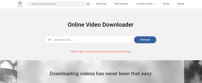 Online Video Downloader