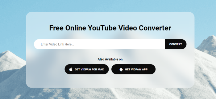 VidPaw YouTube Converter