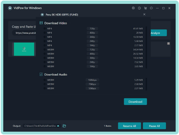 Analyze URL in VidPaw for Windows